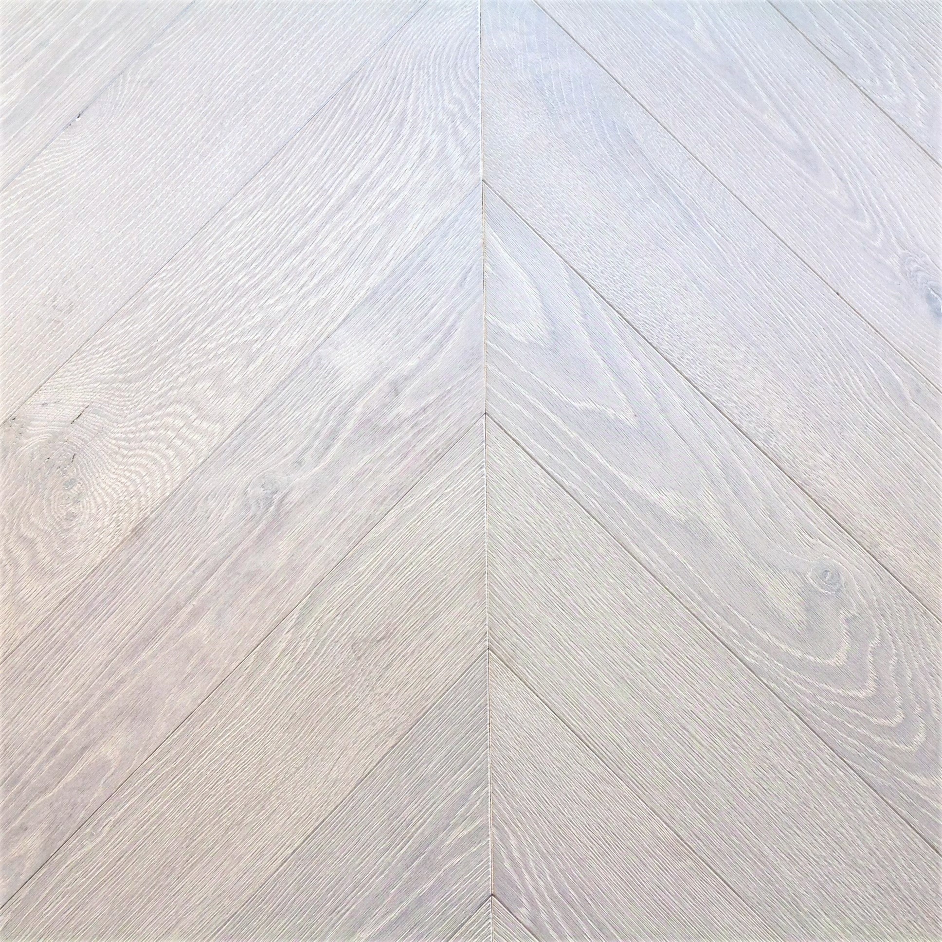 Lausanne MV404-image