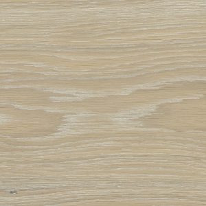 Dutch White MV114-image