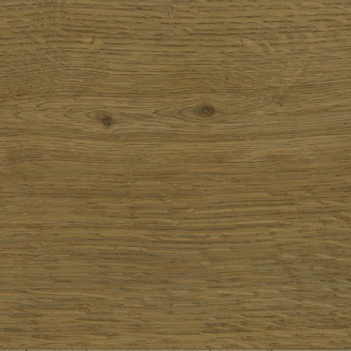 Smoked Brown MV503-image