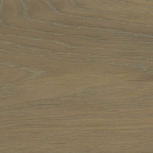 Ash Grey MV506-image