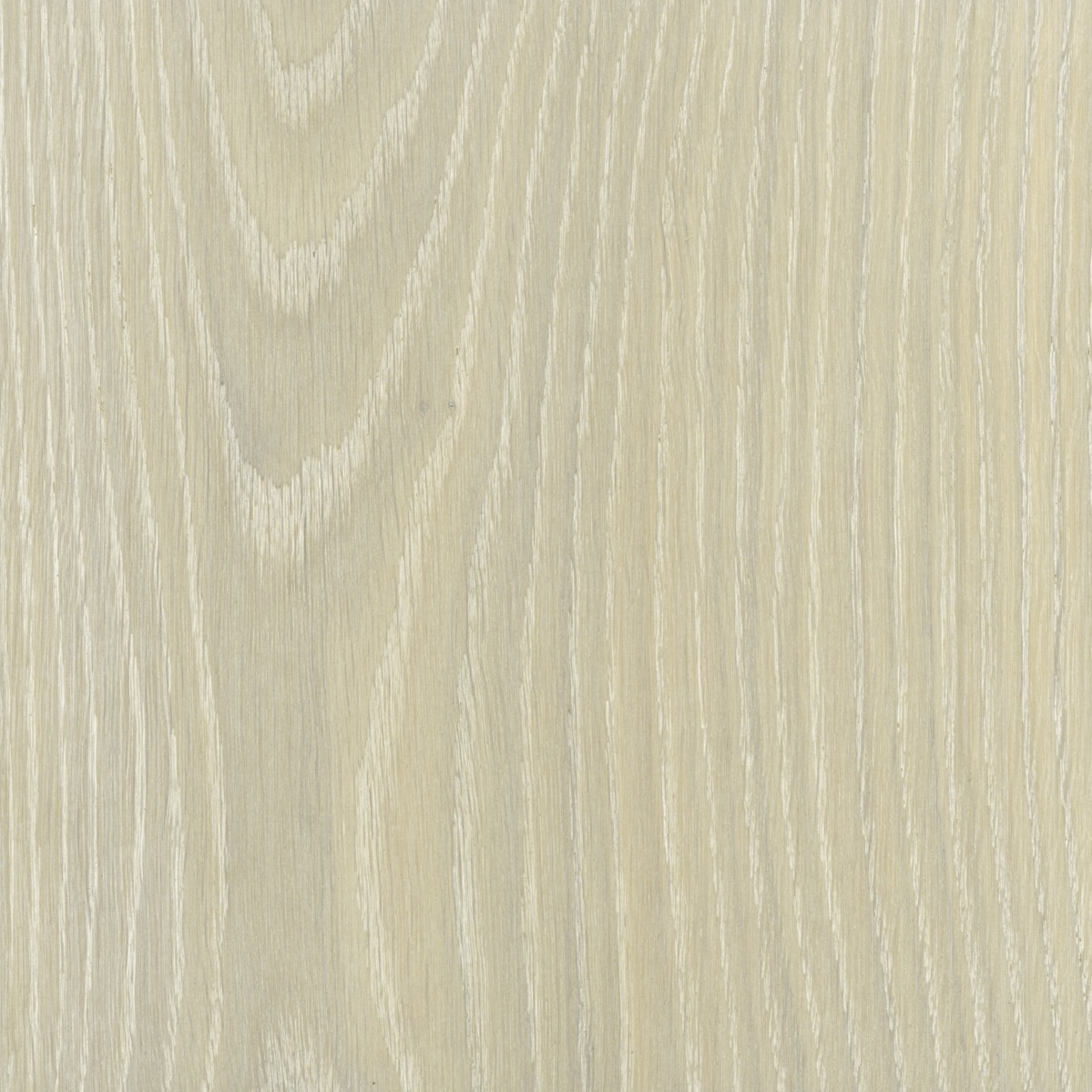 Floral White MV144-image
