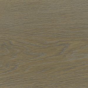 Russet MV183-image