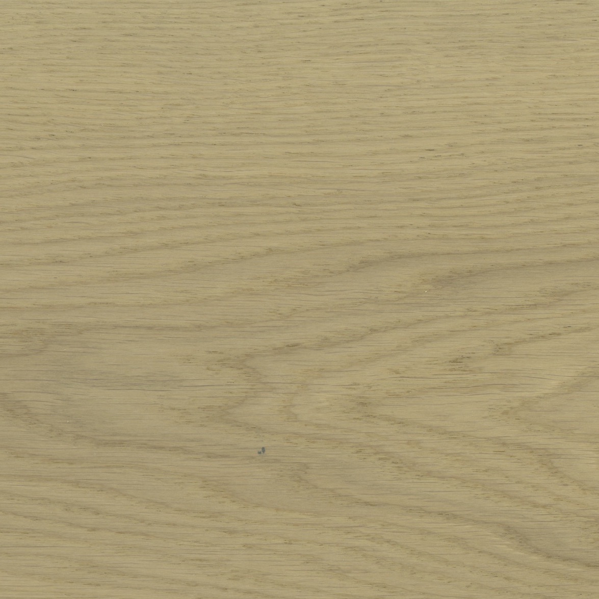 Saddle Brown MV303-image