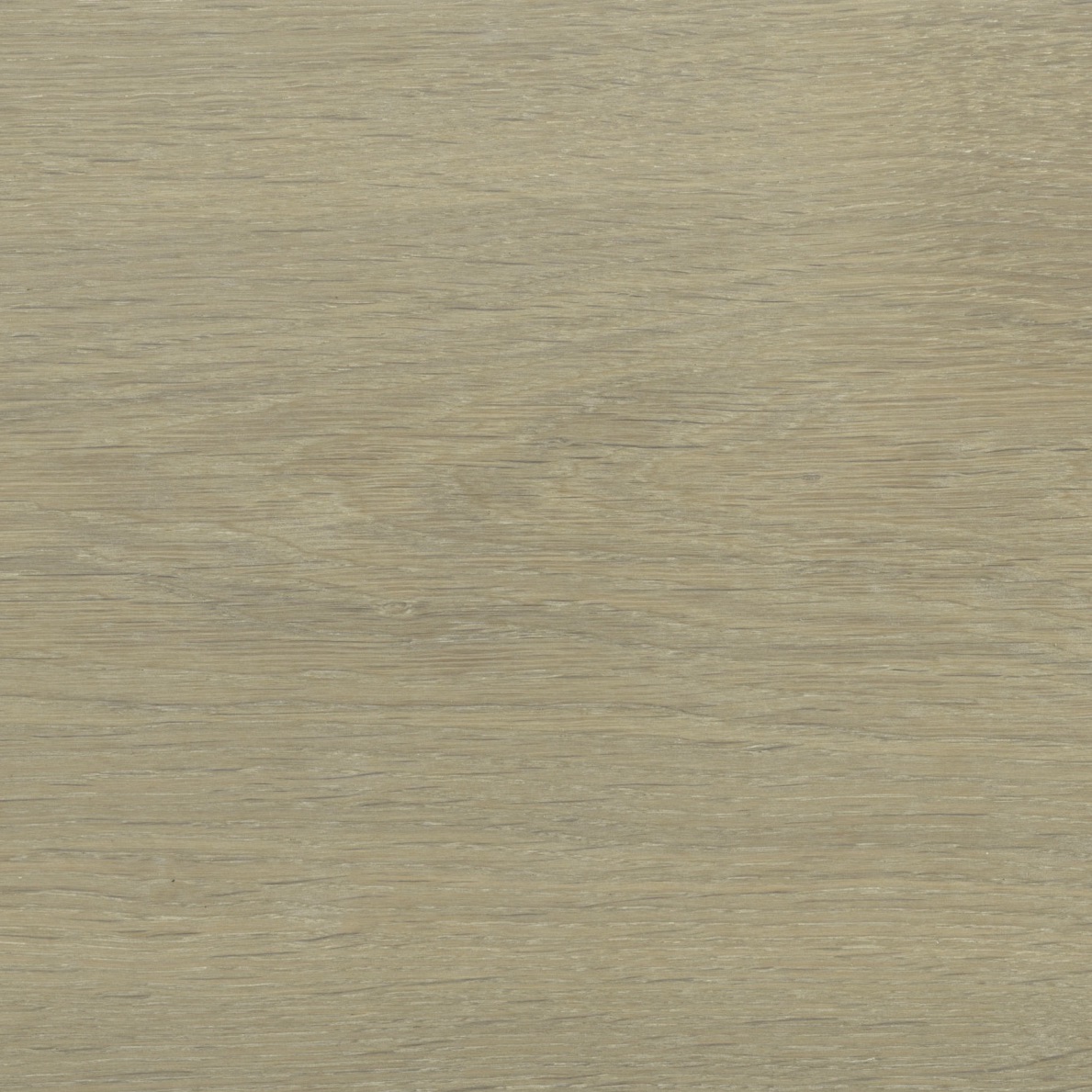 Chestnut Brown MV306-image